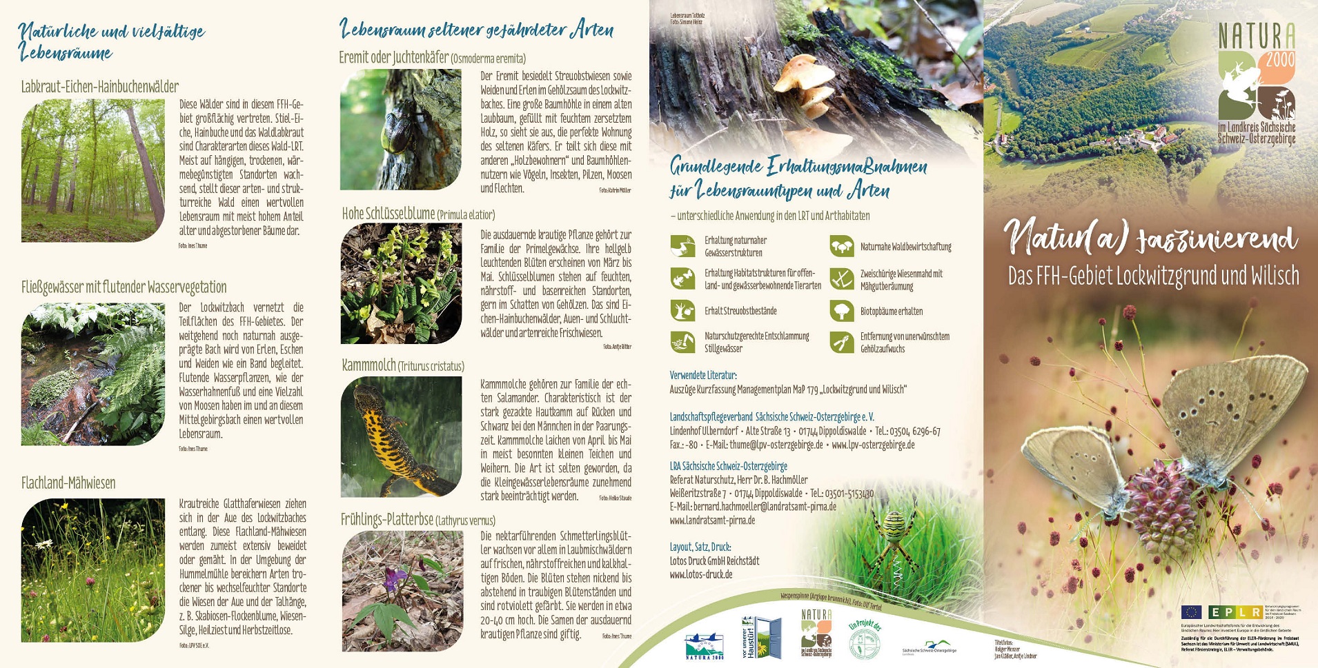 tl_files/downloads/Bilder Projekte/Projektstellen/Natura 2000 2.0/Flyer/LPV_Lockwitz_1.jpg